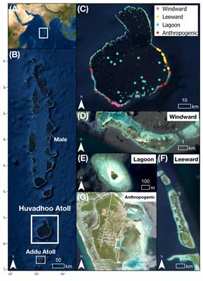 Coral reef island shoreline change and the dynamic response of the freshwater lens, Huvadhoo Atoll, Maldives